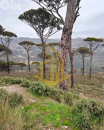 Land for sale in Deir El Harf أرض للبيع في دير، الحرف