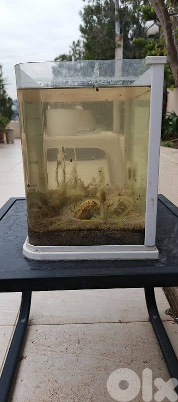 Aquarium 0