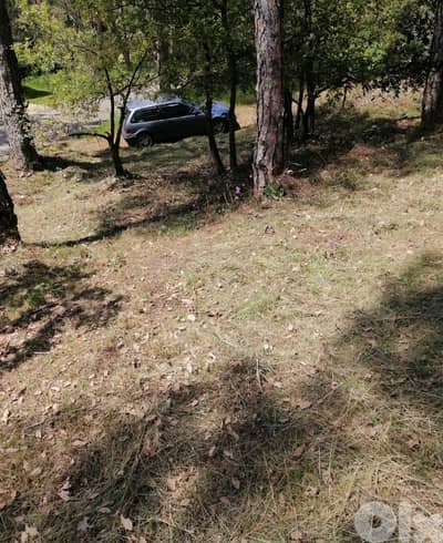 أرض للبيع في بتبيات land for sale sale in btbayt