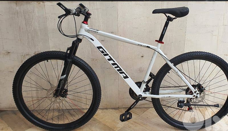 Gitma  29" lovers big size bike (brand new) 1