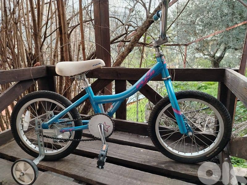 Raleigh 16 0