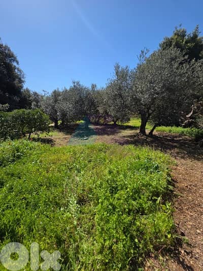 1200 m2 land+prime location view 4sale in Batroun-أرض للبيع في البترون