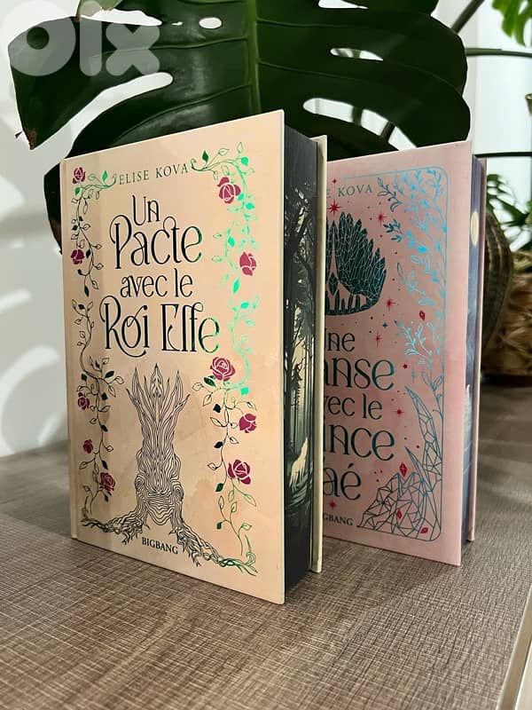 Married To Magic books 1&2 - French 0