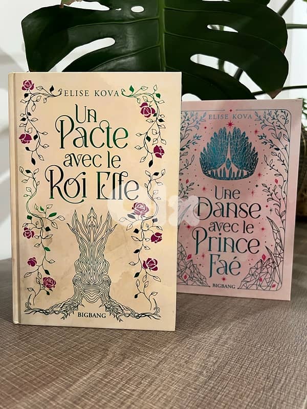 Married To Magic books 1&2 - French 1