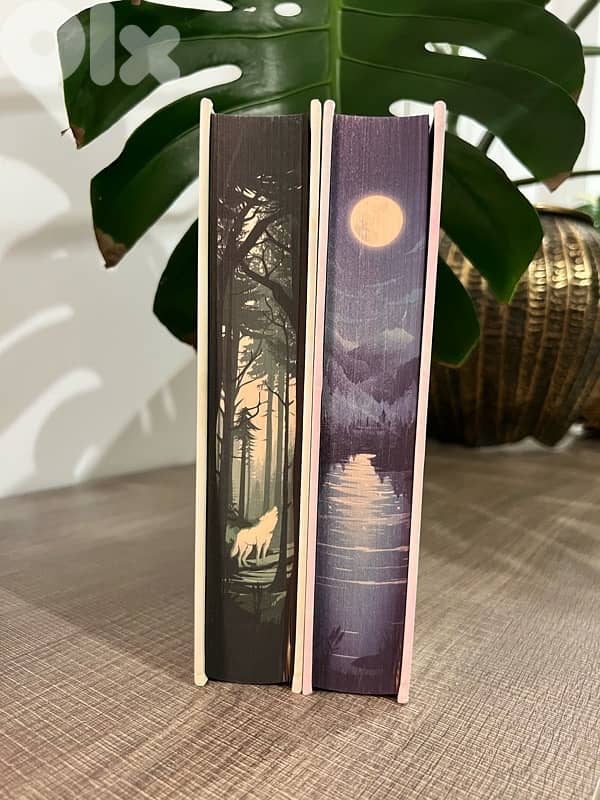 Married To Magic books 1&2 - French 2