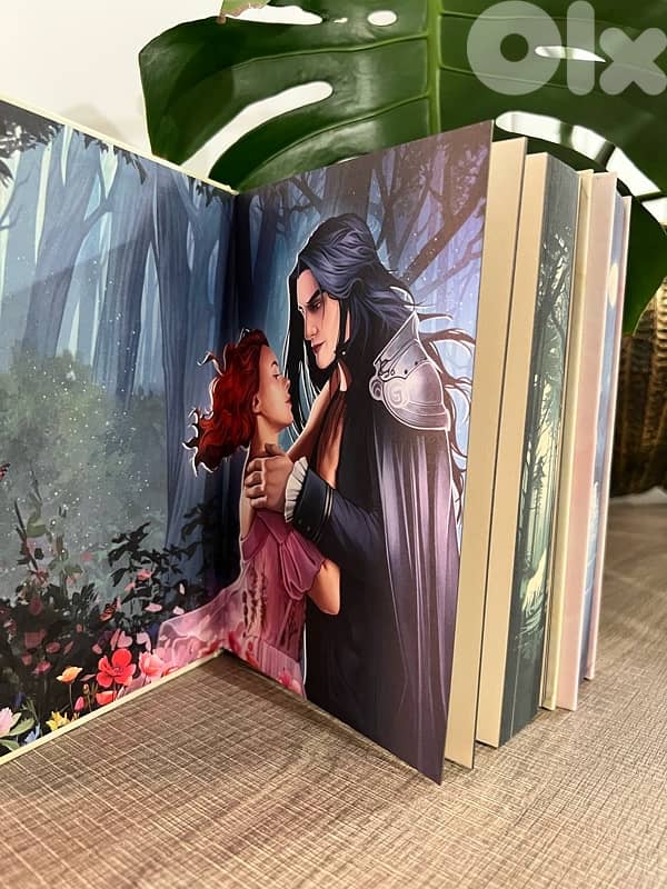 Married To Magic books 1&2 - French 3