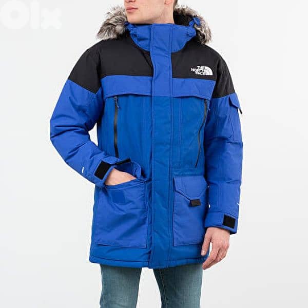 the north face McMurdo 2 parka down jacket 0