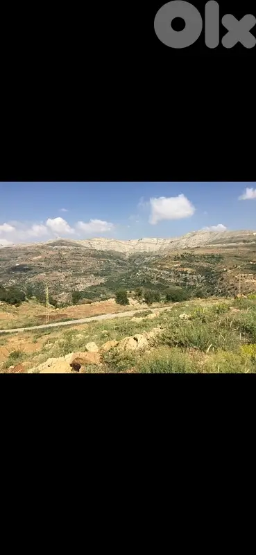 Tanourine Fawqa land with Great view