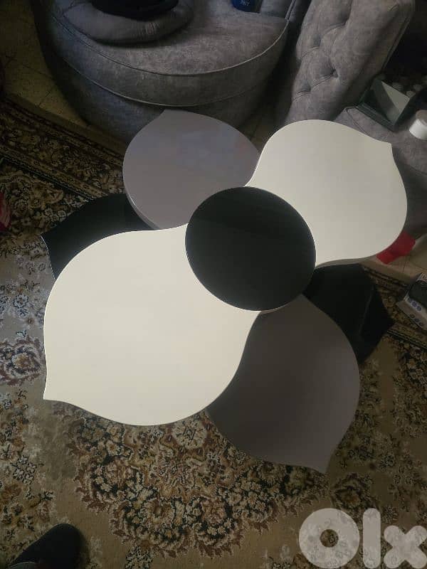 buterfly table 1