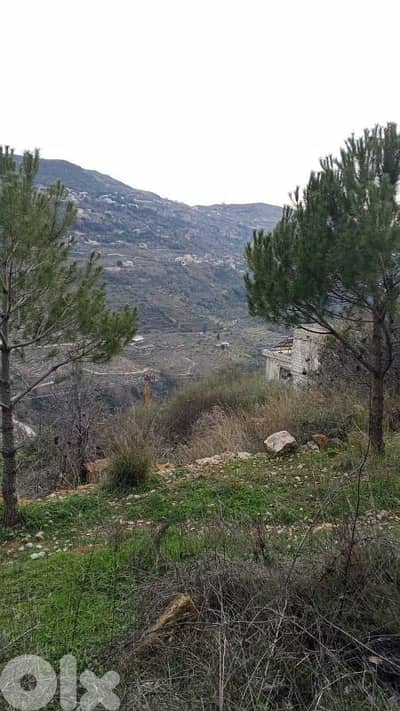 Land for sale in Chouf أرض للبيع في البيرة الشوف