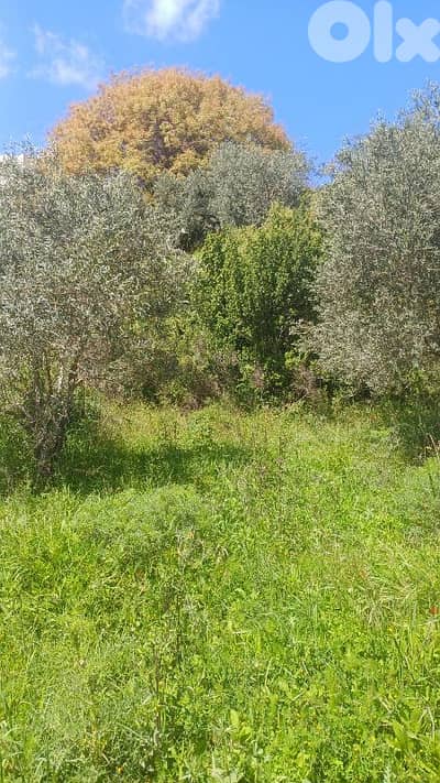 lands for sale in ijd-ebrin Alkoura أرض للبيع في إجدعبرين الكورة