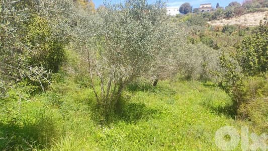 lands for sale in ijd-ebrin Alkoura أرض للبيع في إجدعبرين الكورة