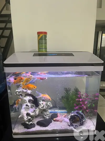aquarium