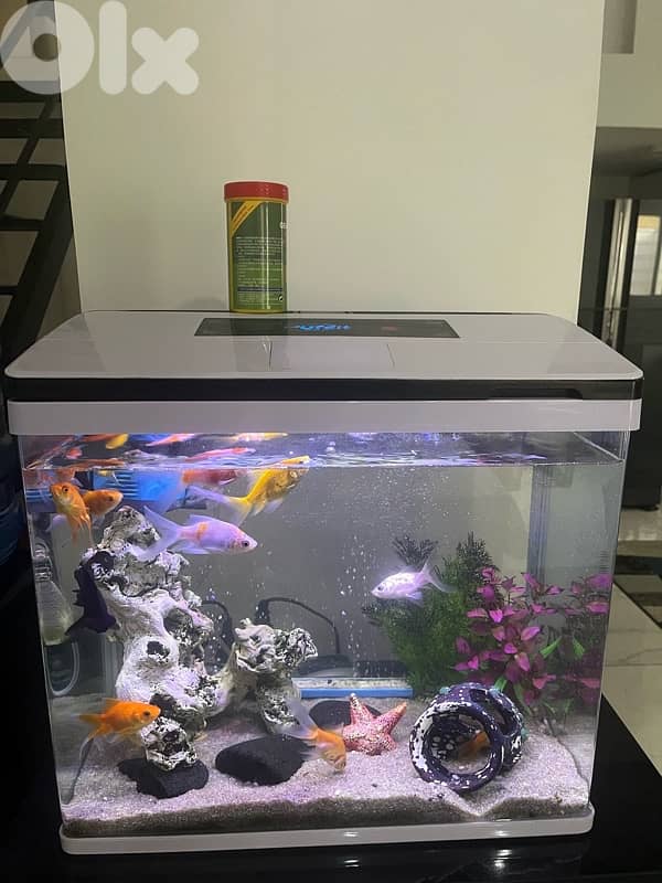 aquarium 1