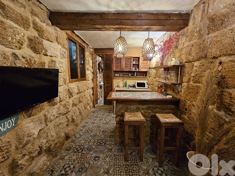 studio for rent or investment 0