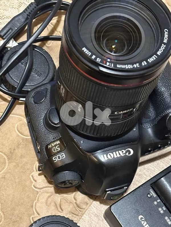 Canon 5D mark iv / 24-105mm f4 ef 2