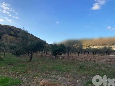 land for sale ارض للبيع