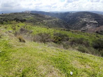lands for sale in Jmailiyeh Chouf عقار للبيع في الجميلية شوف