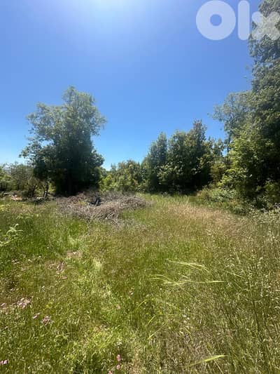 Land for sale in Ain Zain Chouf عقار للبيع في عين وزين الشوف