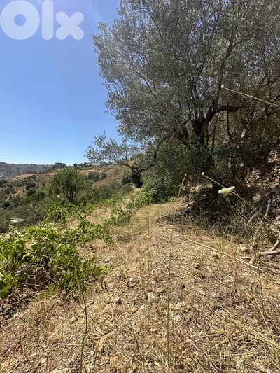Land for sale in Aghmid Aley عقار للبيع في اغميد عاليه