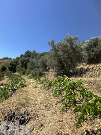 Land for sale in Aghmid Aley عقار للبيع في اغميد عاليه