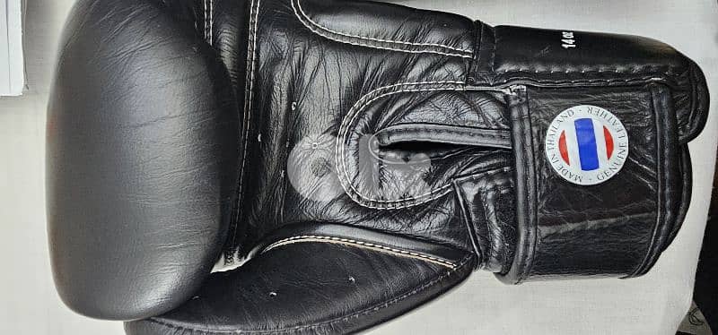 Mongol Gloves 5