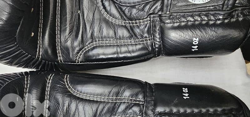 Mongol Gloves 7