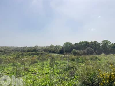 RWB194SN - Land for sale in Bterram Koura
