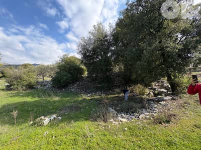 Land for sale in Assia – Batroun أرض للبيع في آسيا - البترون