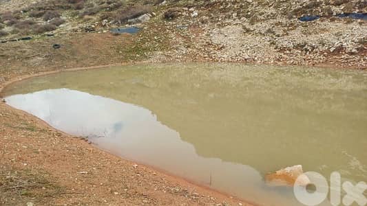 lands for sale in tannourine أرض "لقطة"للبيع في تنورين