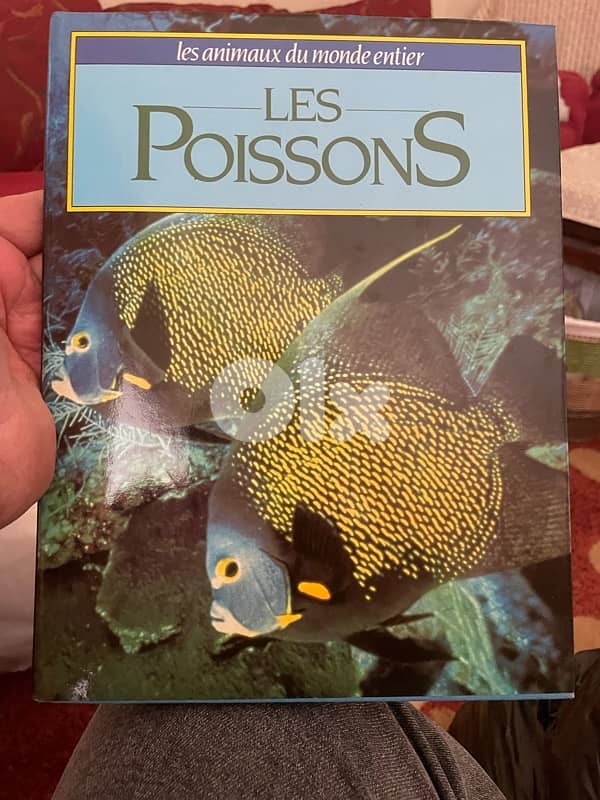 animaux du monde 11 volumes 0