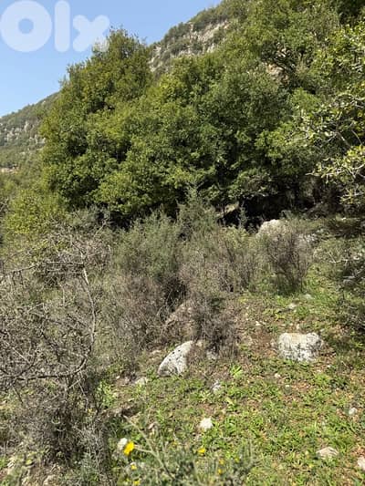 Land For Sale In Ehmej أرض للبيع في اهمج