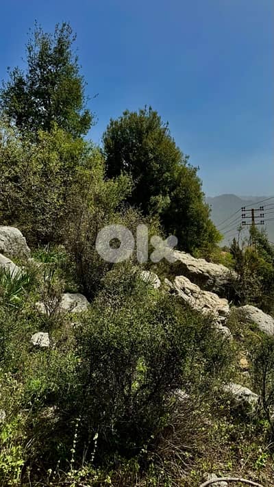 Land For Sale In Ehmej أرض للبيع في اهمج