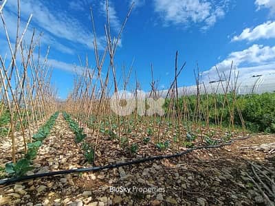 Land For SALE In Halat أرض للبيع #ES