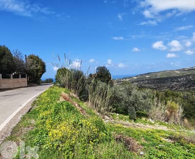 Land For Sale In Chikhane | Open View | أرض للبيع | PLS 26489
