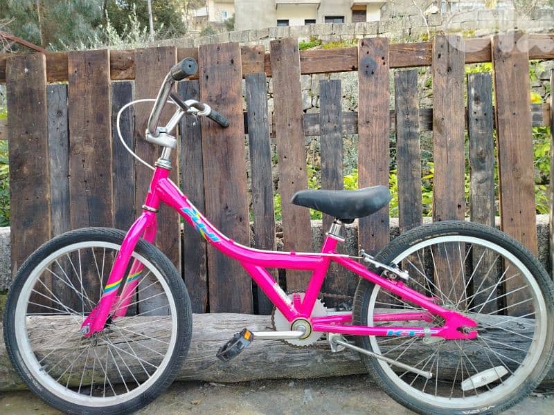 fuji bmx 20 1