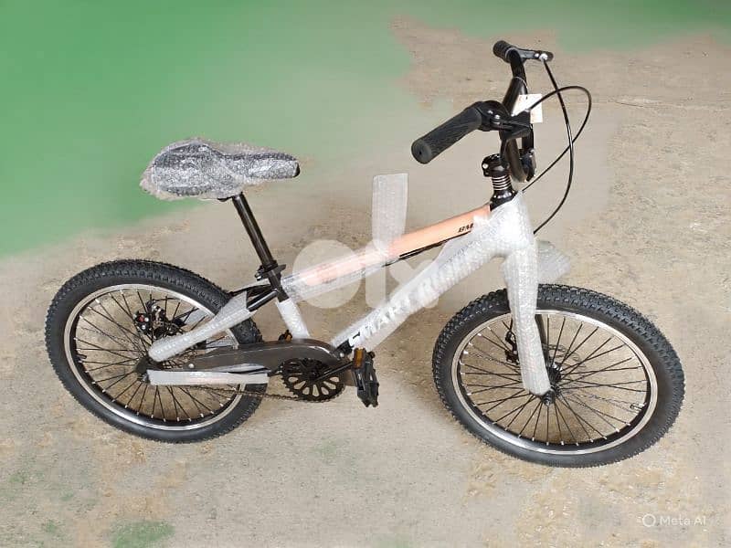 20 inch bicycle 0
