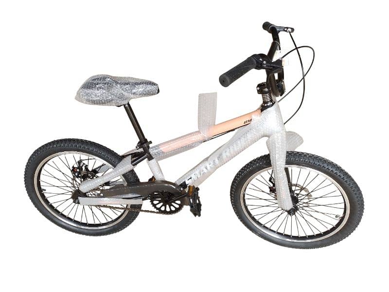 20 inch bicycle 1