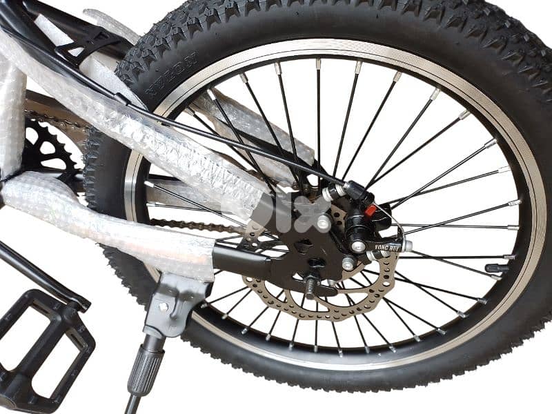 20 inch bicycle 2