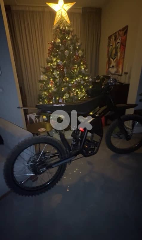 GT73 ebike 1