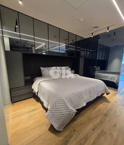 Luxurious Apartment For Rent In The Heart Of Downtown