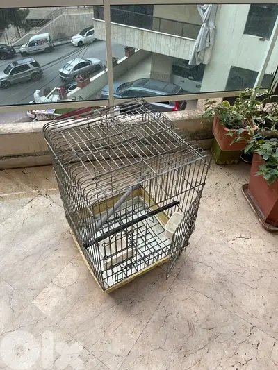 قفص ببغاء للبيع