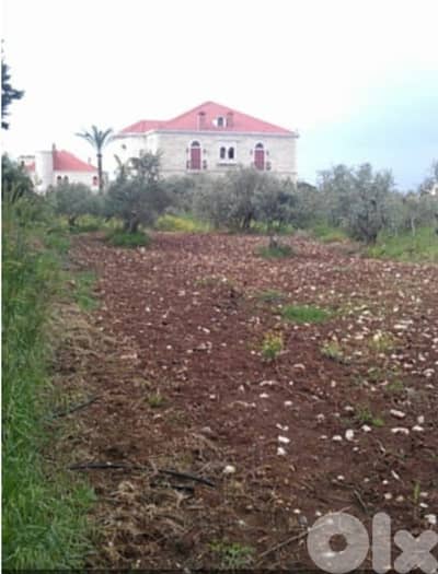 GMB245SZ - Land For Sale In Amchit - أرض للبيع في عمشيت