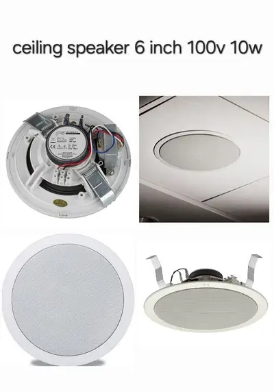 ceiling speaker 6 inch
