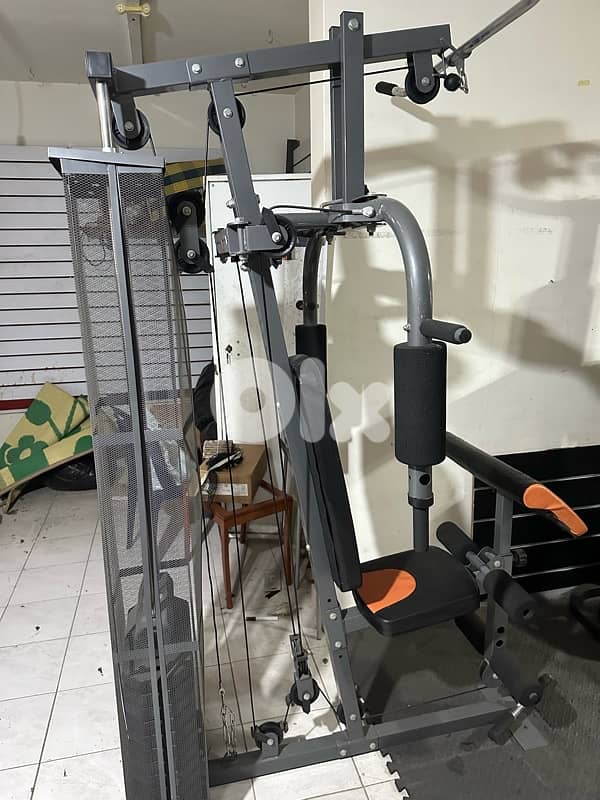 Homegym body sculpture 0