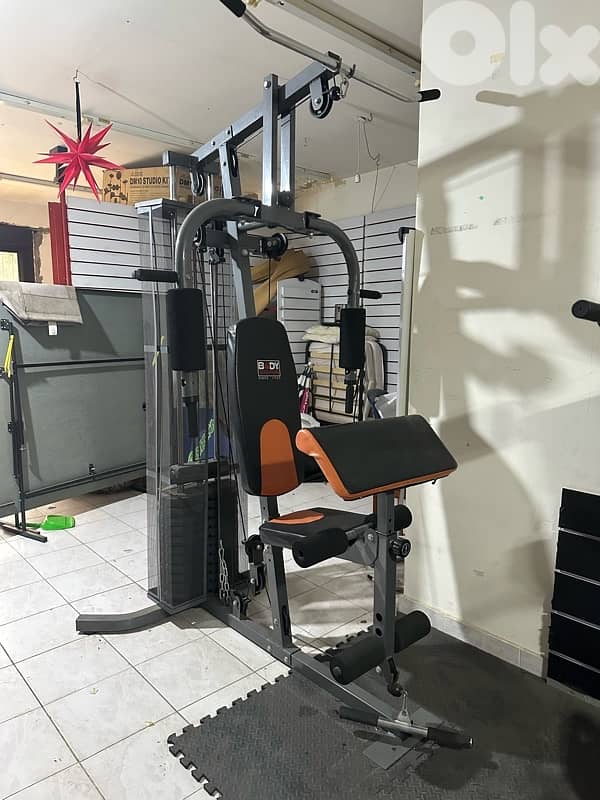 Homegym body sculpture 2