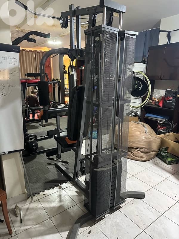 Homegym body sculpture 3