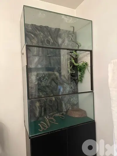 Aquarium Tank XLarge size for reptiles