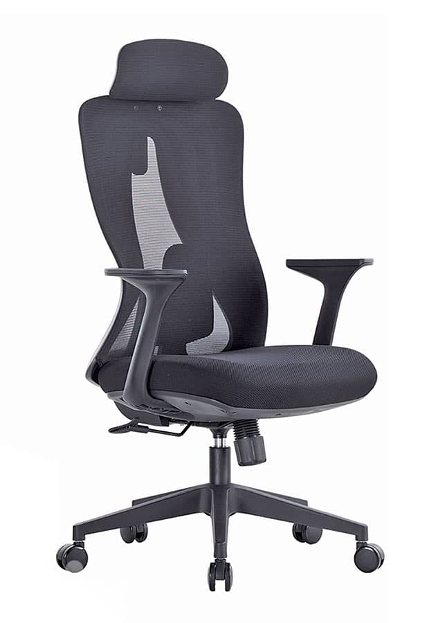 Luxury Ergonomic Office Chairs 0
