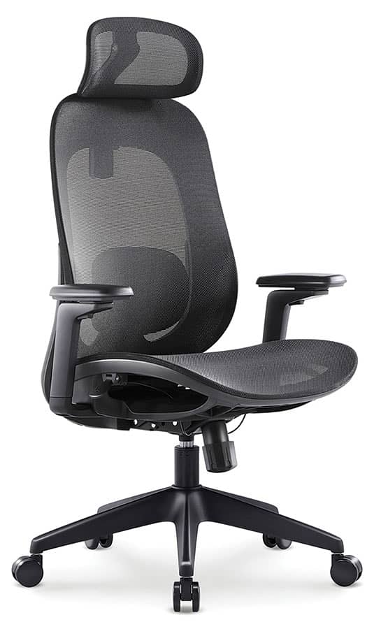 Titan Executive Ergonomic Chair 0